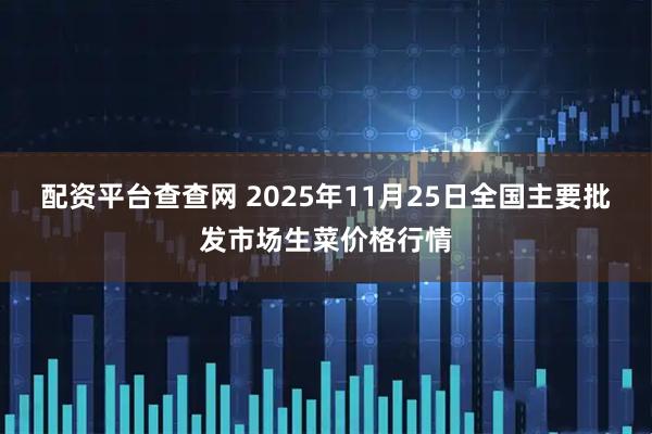 配资平台查查网 2025年11月25日全国主要批发市场生菜价格行情